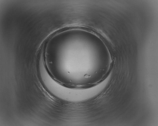X0000070181356200605301340