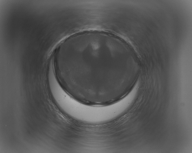 X0000070181359200605301340