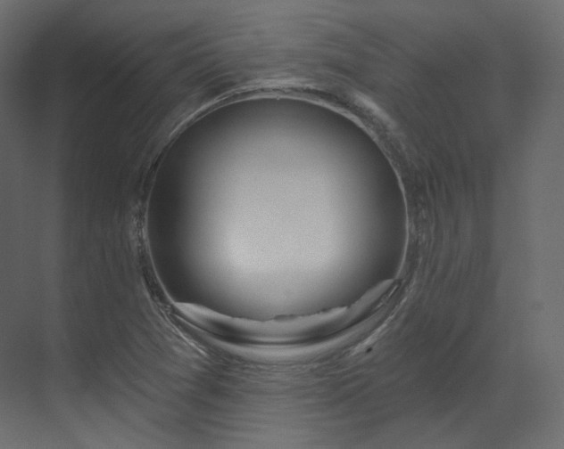 X0000070181361200605301340