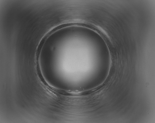 X0000070181364200605301340