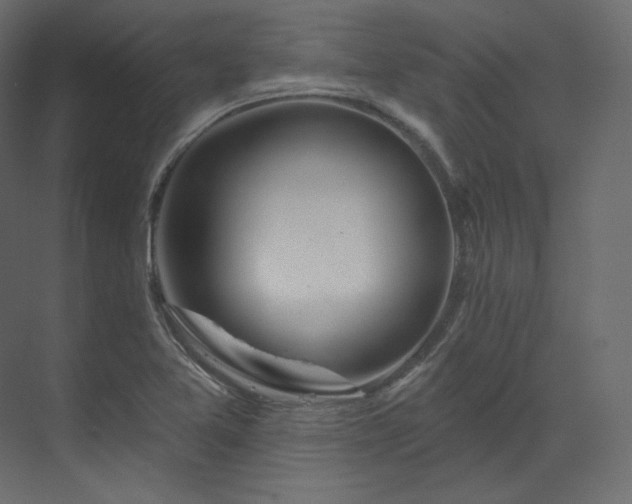 X0000070181365200605301340