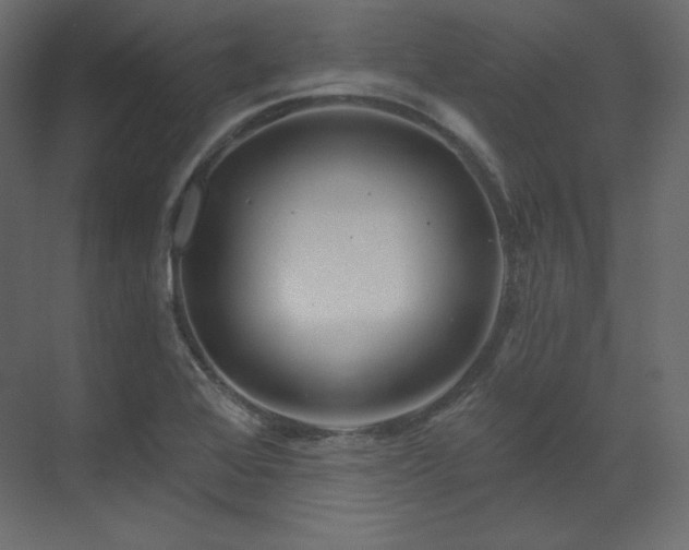 X0000070181368200605301340