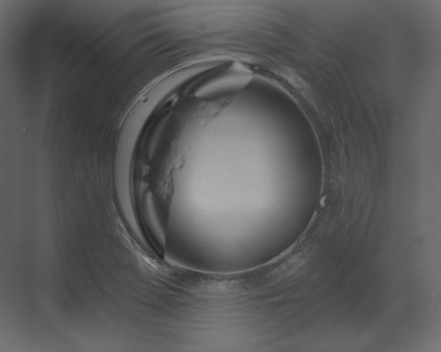 X0000070181369200605301340
