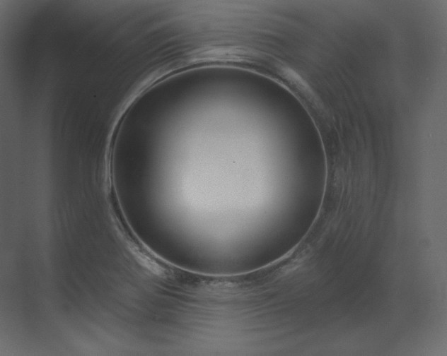 X0000070181370200605301340