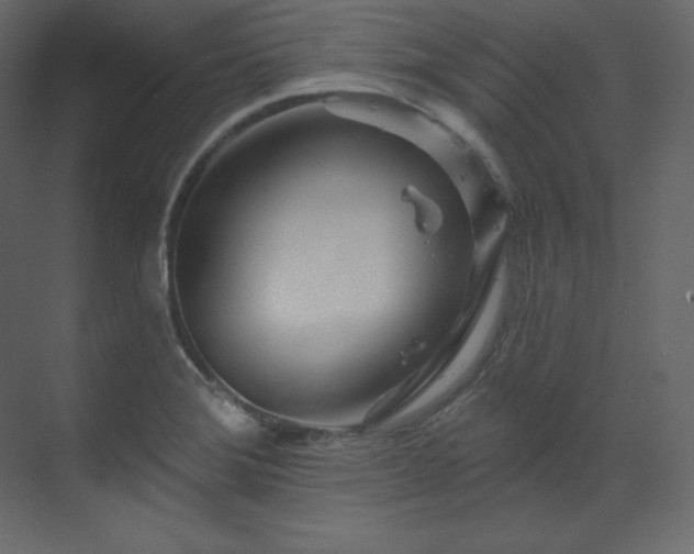 X0000070181372200605301340