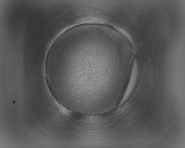 X0000070181375200605301340