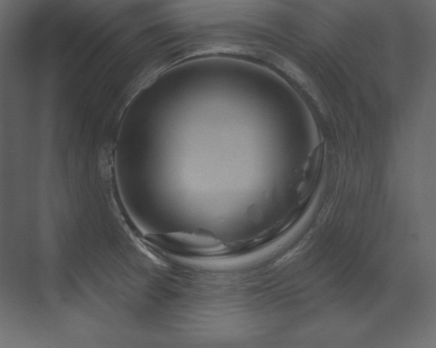 X0000070181377200605301340
