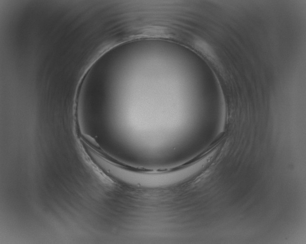 X0000070181378200605301340