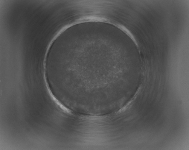 X0000070181381200605301340
