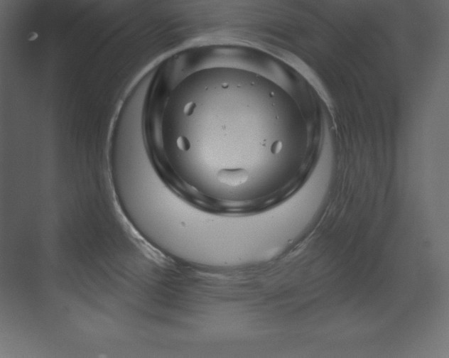 X0000070181388200605301340