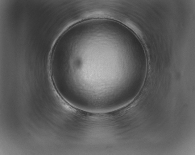 X0000070181392200605301340