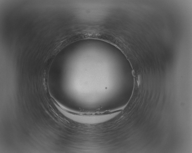 X0000070181396200605301339