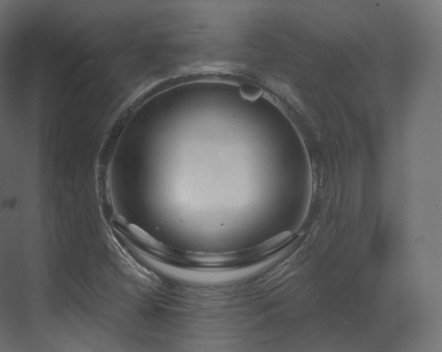 X0000070181404200605301339