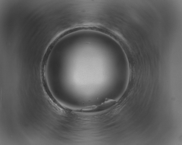 X0000070181412200605301339