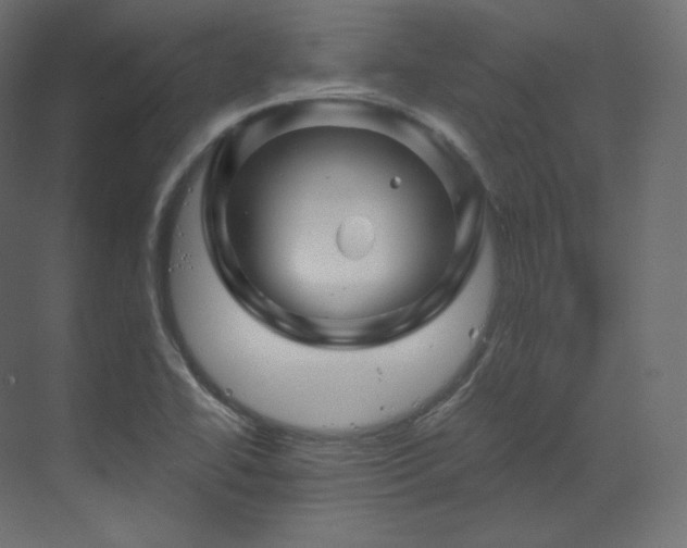 X0000070181414200605301339