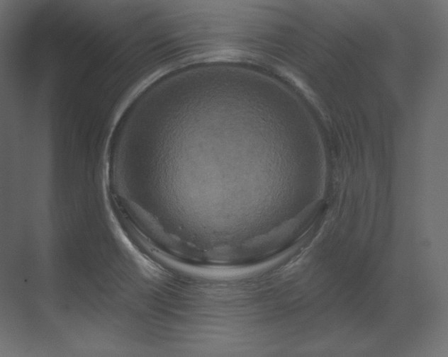 X0000070181418200605301339