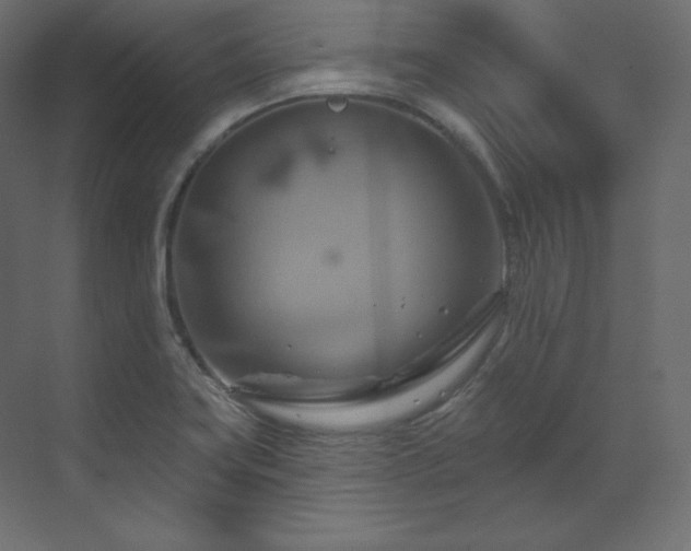 X0000070181419200605301339