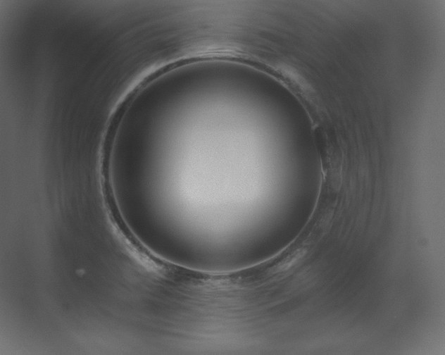 X0000070181422200605301339