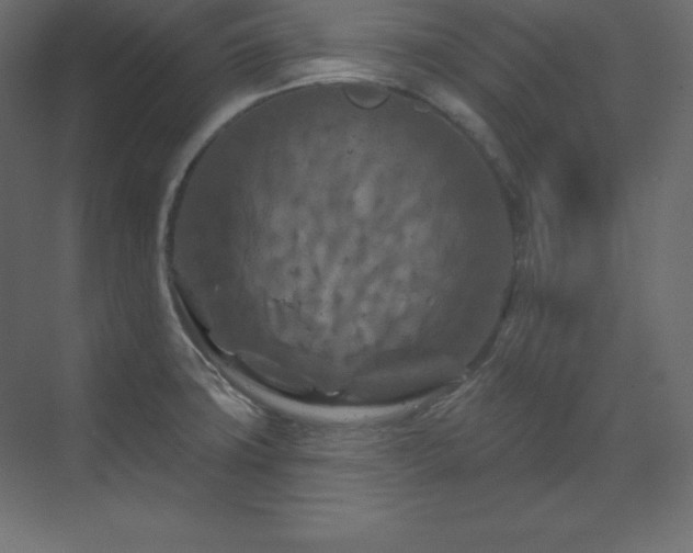 X0000070181427200605301340