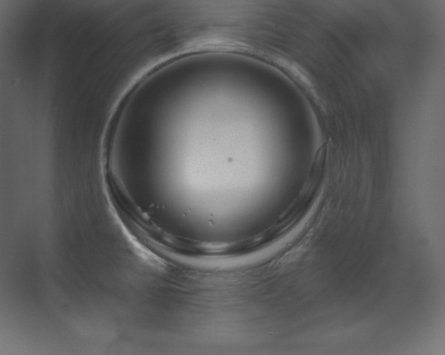 X0000070181430200605301340