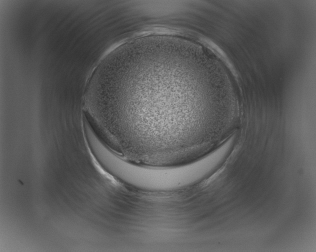 X0000070181433200605301340