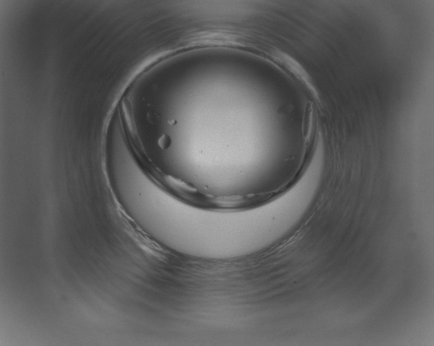 X0000070181435200605301340