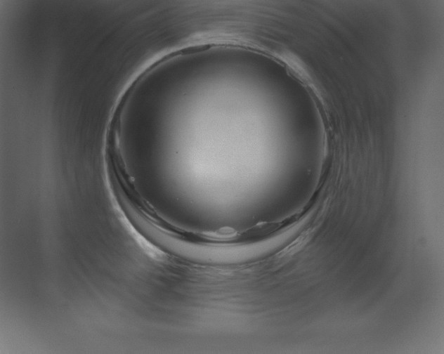 X0000070181438200605301340