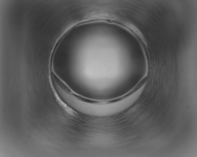 X0000070181439200605301340