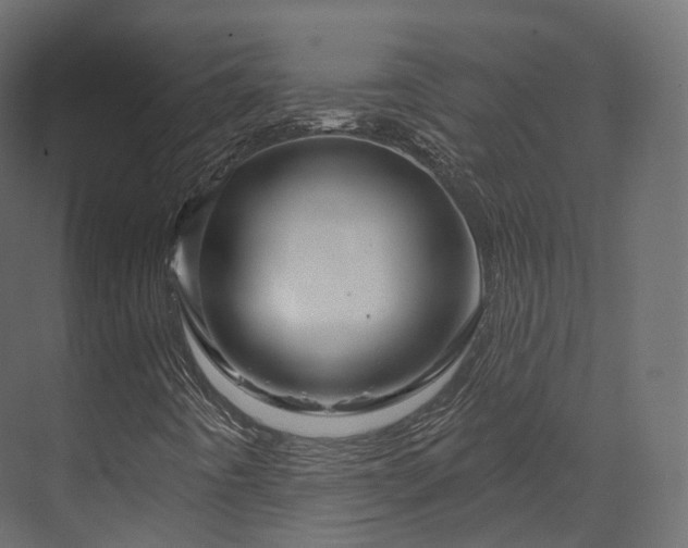 X0000070181442200605301339