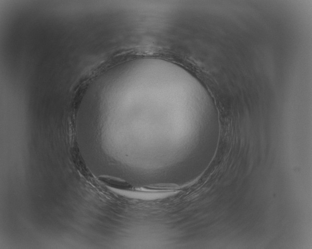 X0000070181446200605301339