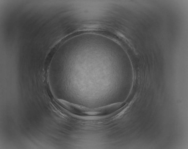 X0000070181449200605301339