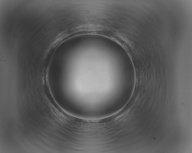 X0000070181451200605301339