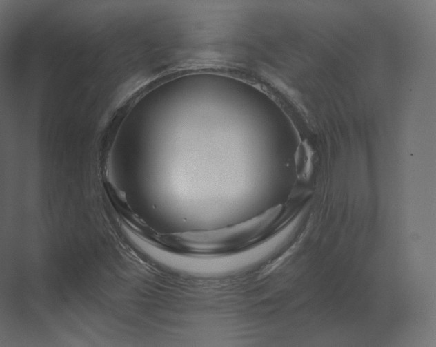 X0000070181453200605301339