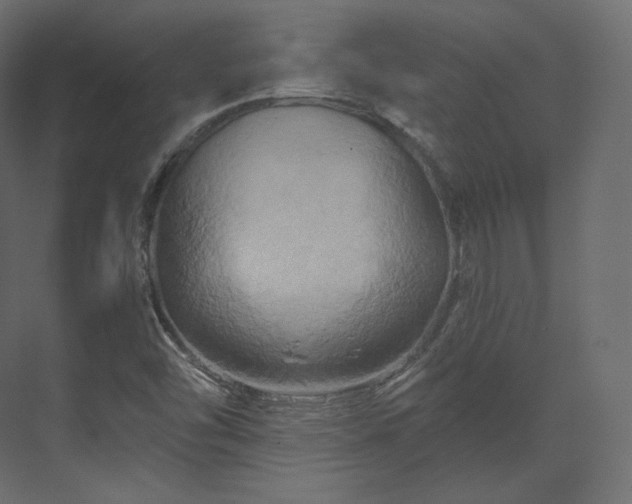 X0000070181454200605301339