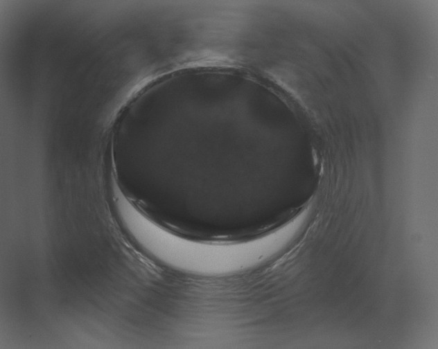X0000070181455200605301339