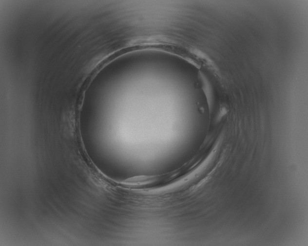 X0000070181457200605301339