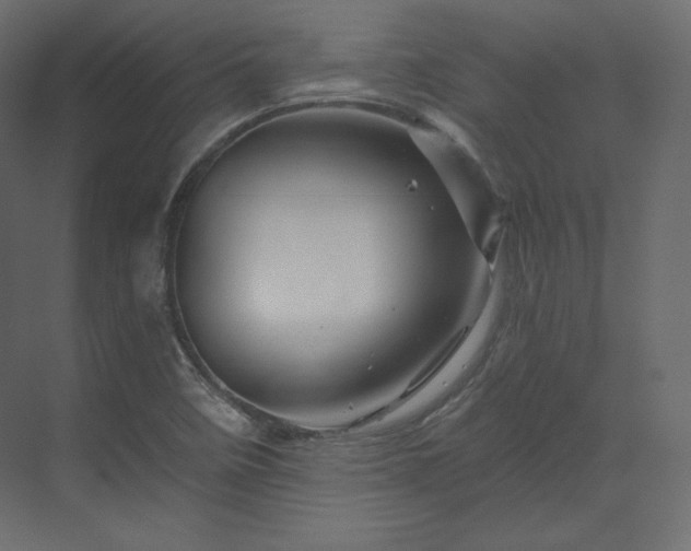 X0000070181458200605301339