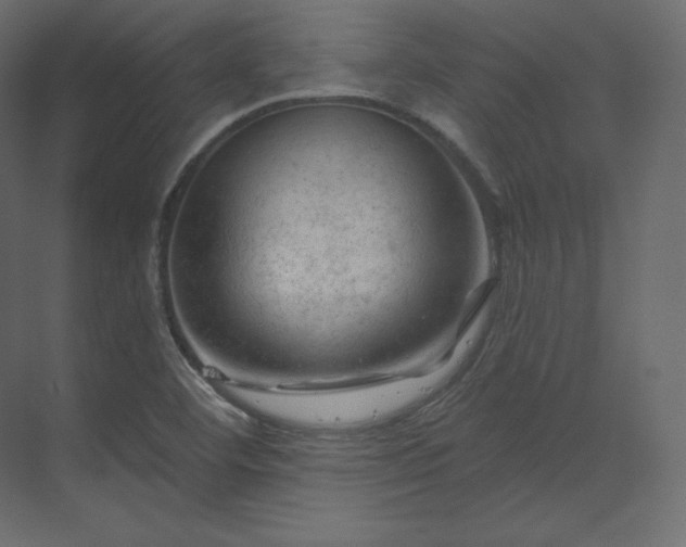 X0000070181460200605301339
