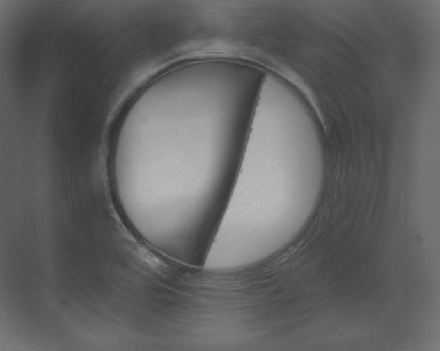 X0000070181464200605301339
