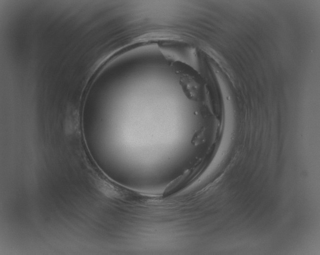 X0000070181465200605301339
