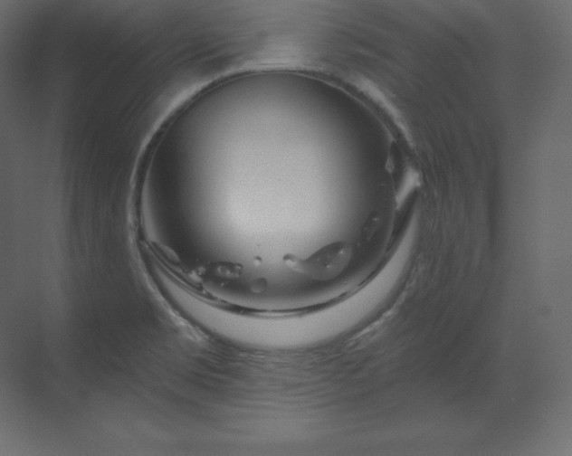 X0000070181469200605301338