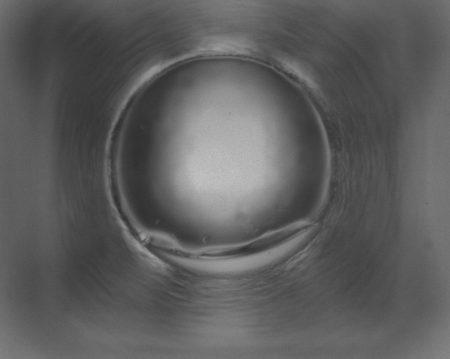 X0000070181471200605301338