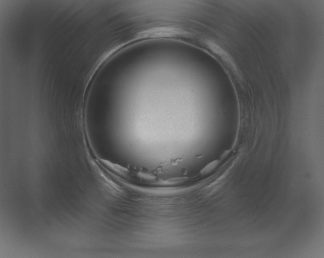 X0000070181473200605301338