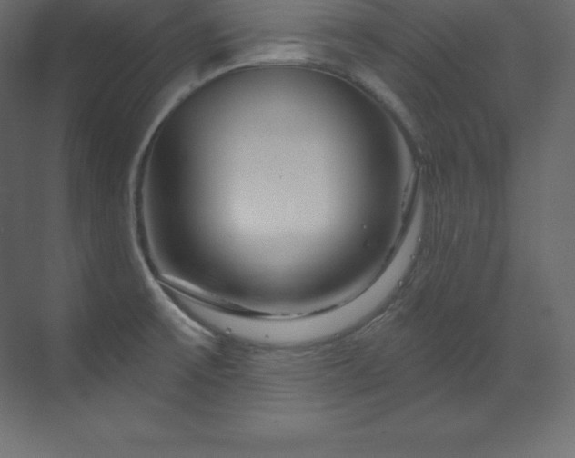 X0000070181475200605301338
