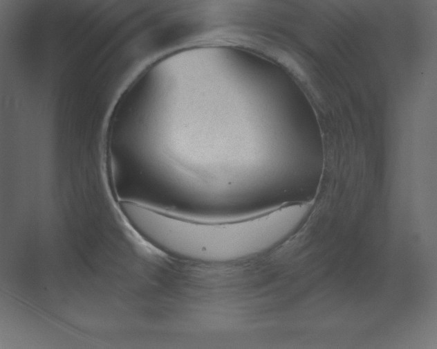 X0000070181478200605301338