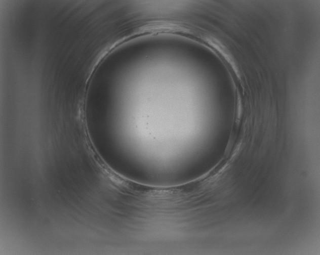 X0000070181481200605301338