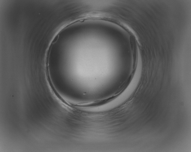 X0000070181483200605301338