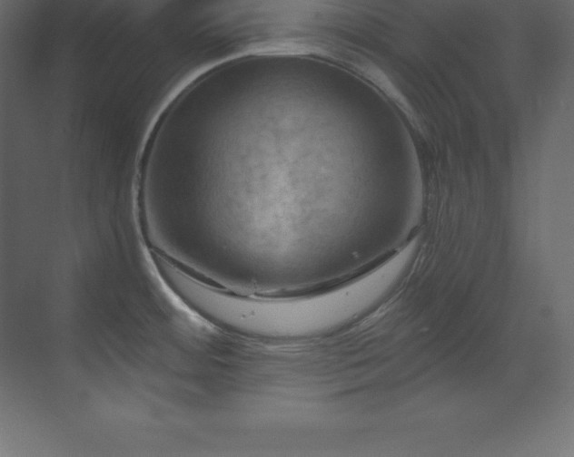 X0000070181484200605301338