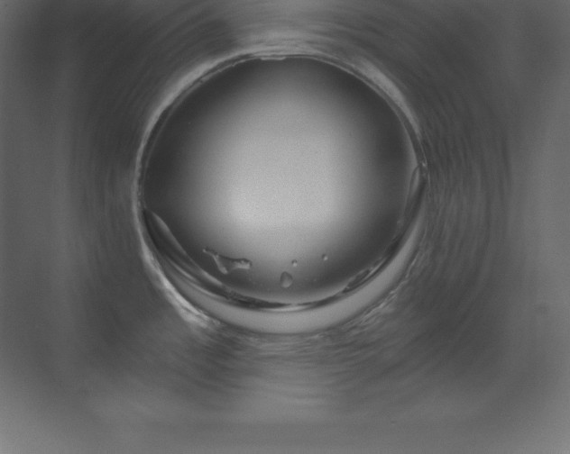 X0000070181485200605301338