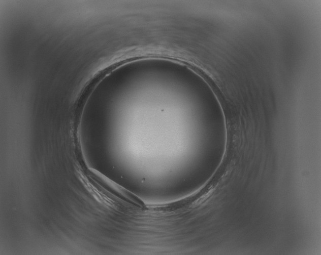 X0000070181499200605301338